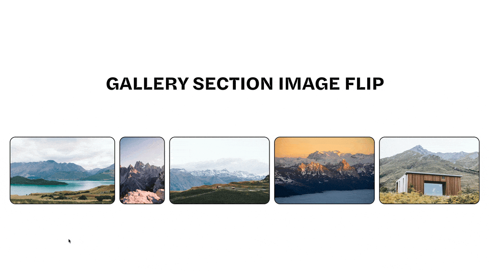 Thumbnail for Gallery Section Image Flip